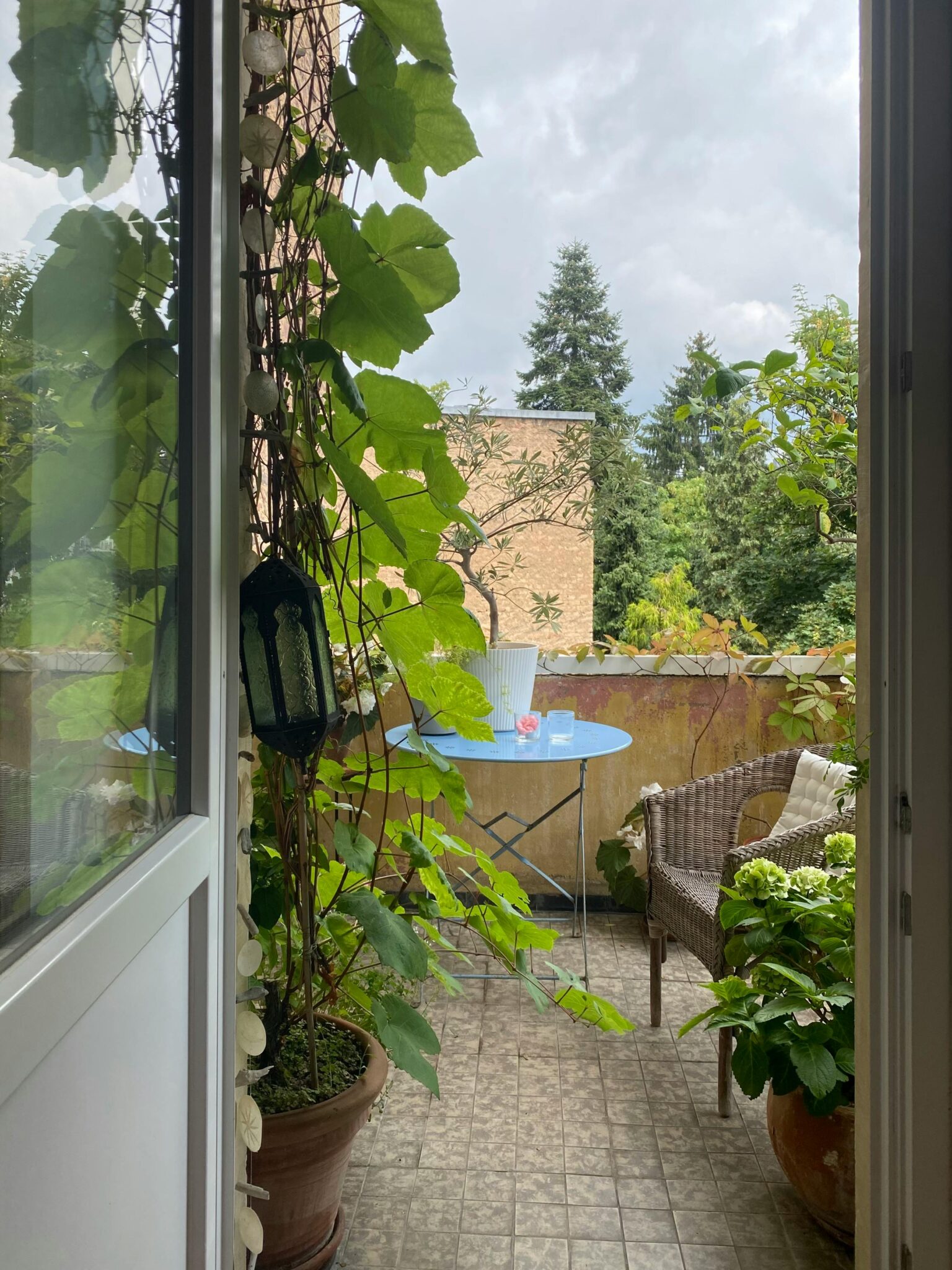 トタレアルモニア 愛知県大府市 骨盤の調整 女性特有の悩みや体調不良にペルヴィス®ワークレッスン 整顔 尿漏れや生理不順、虚血、代謝、頭痛、腰痛、肩こりに悩まされている方に、身体全体を自分らしく整える方法 | ペルヴィス®ワークとは