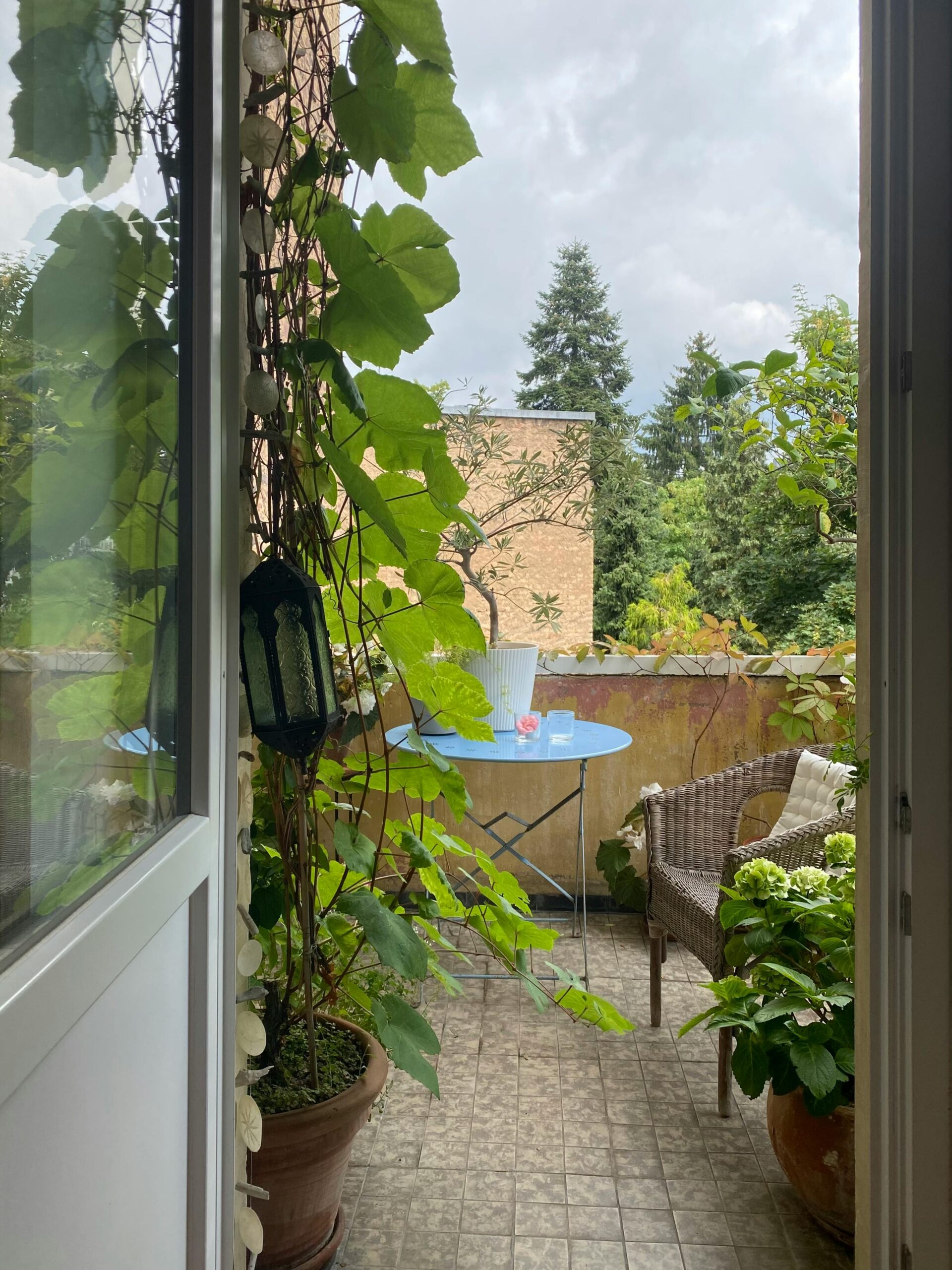 トタレアルモニア 愛知県大府市 骨盤の調整 女性特有の悩みや体調不良にペルヴィス®ワークレッスン 整顔 尿漏れや生理不順、虚血、代謝、頭痛、腰痛、肩こりに悩まされている方に、身体全体を自分らしく整える方法 | 南生協病院 健康づくりフェスティバルで講座を担当することが決まりました！